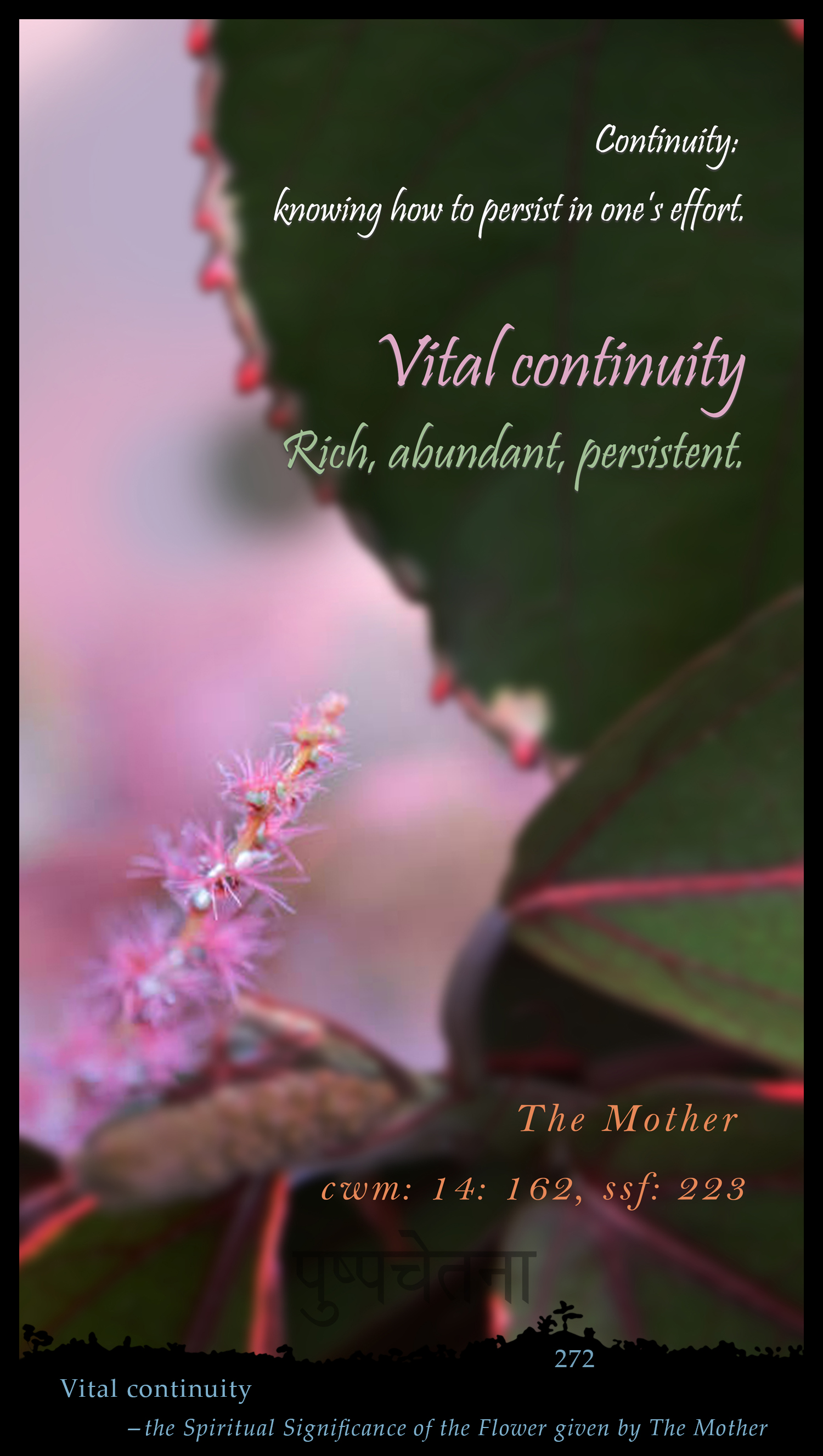 Vital Continuity